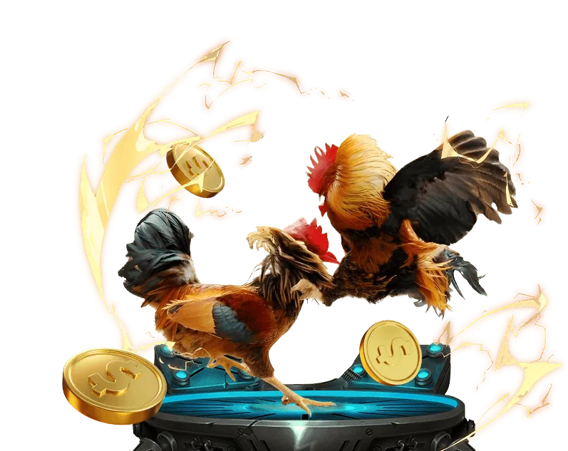 Khuyến mãi đá gà độc quyền VN88